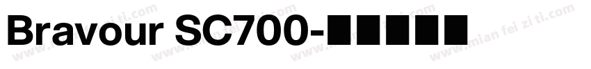 Bravour SC700字体转换
